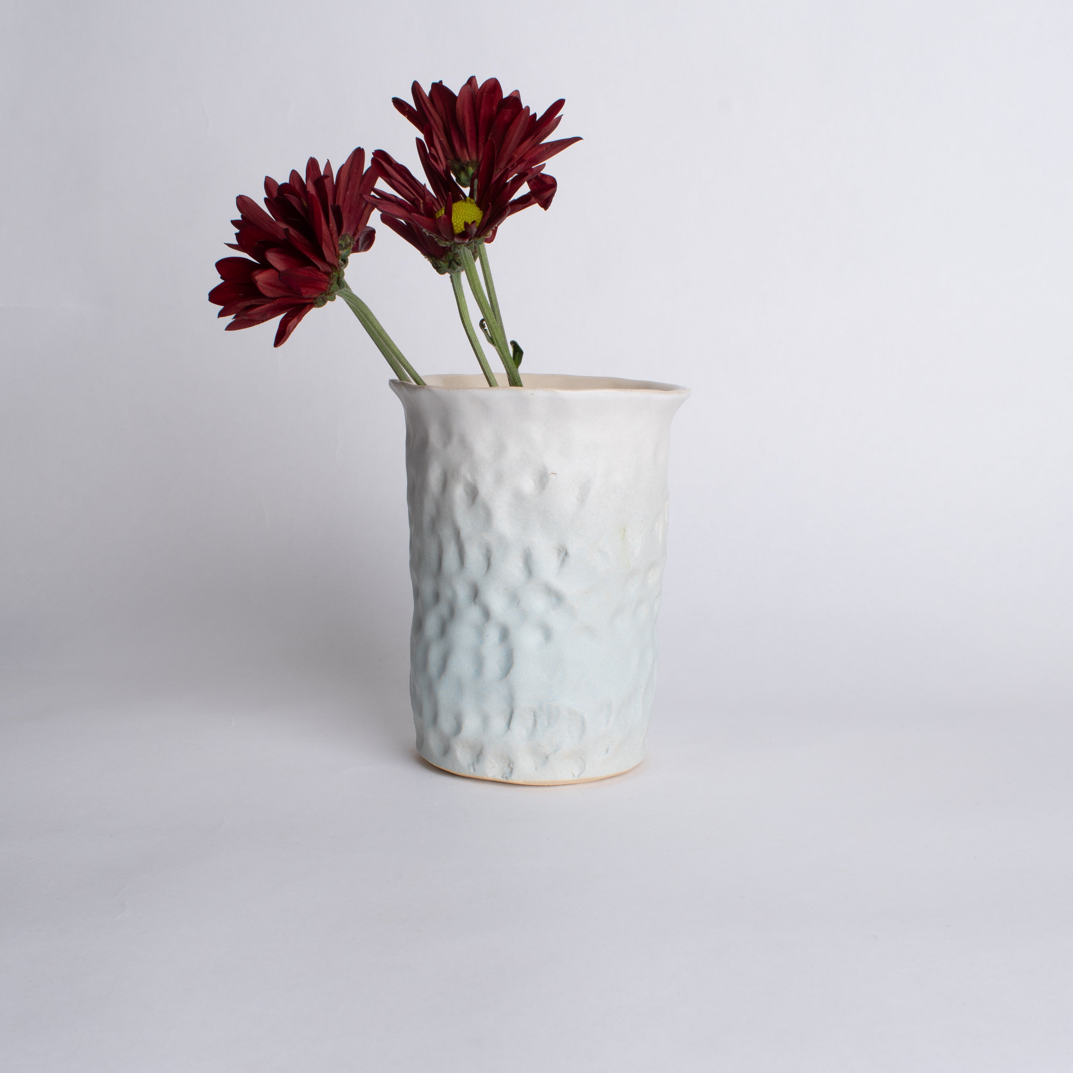 Pinch Vessel in Glacier