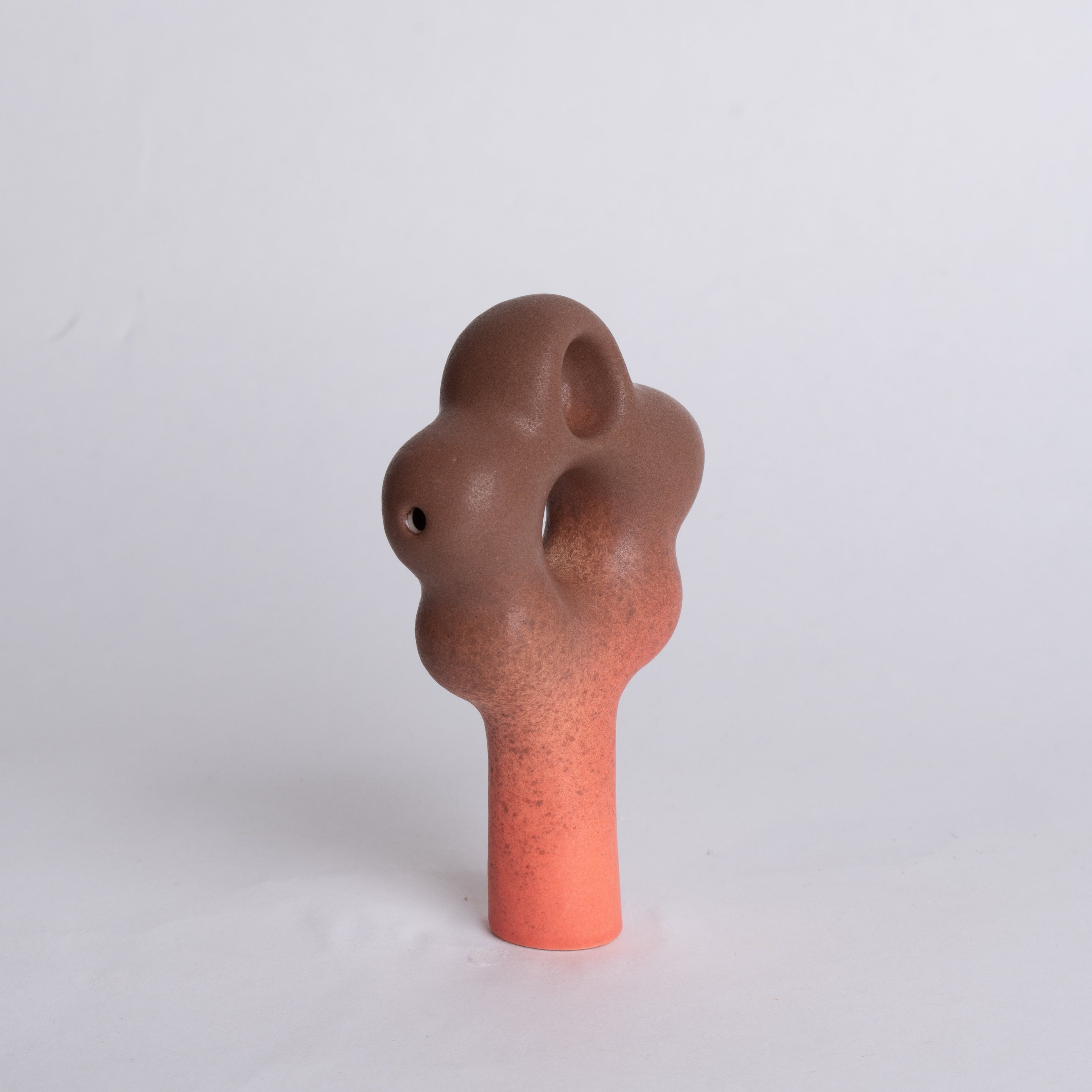 Chocolate Strawberry Daisy