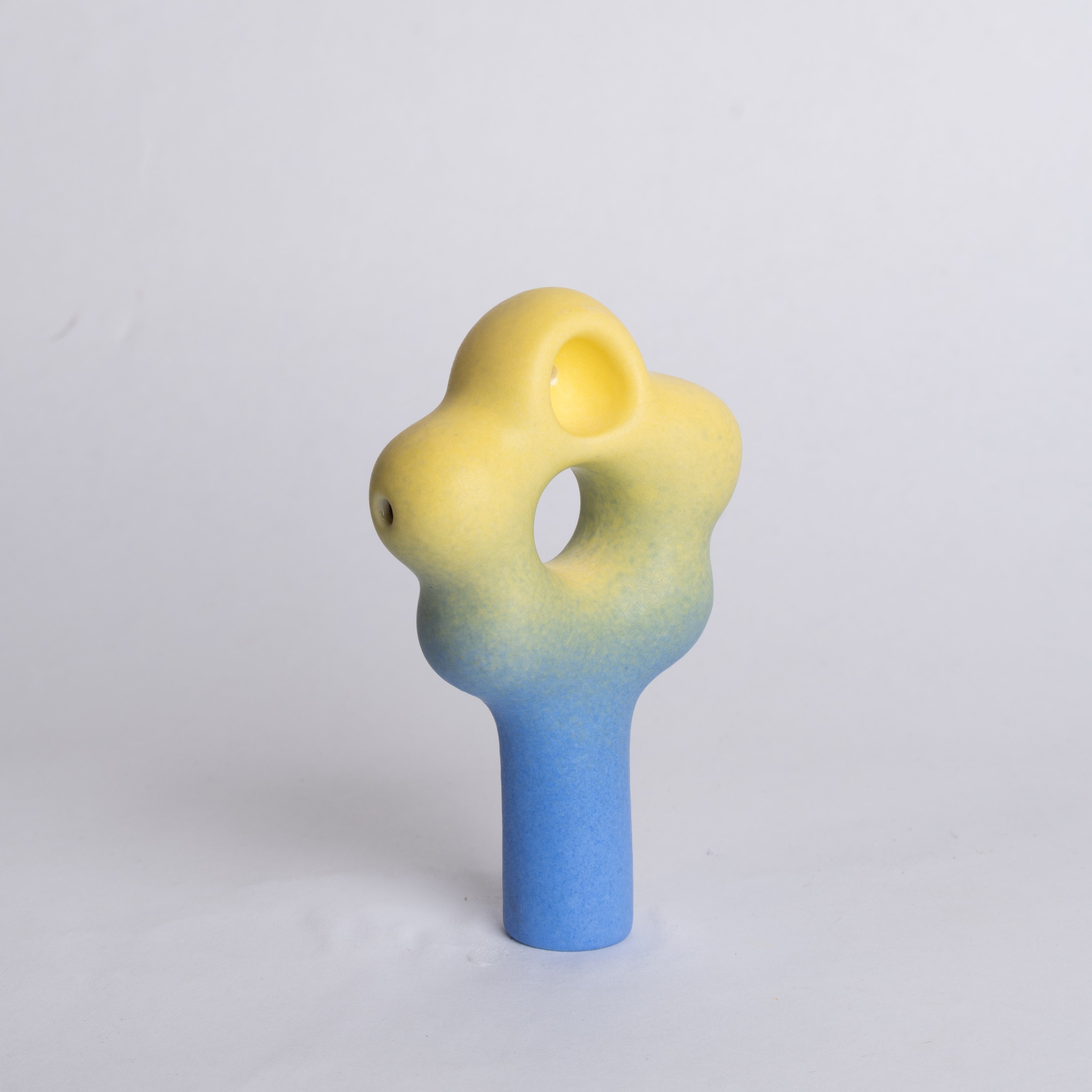 Cornflower Blue Daisy