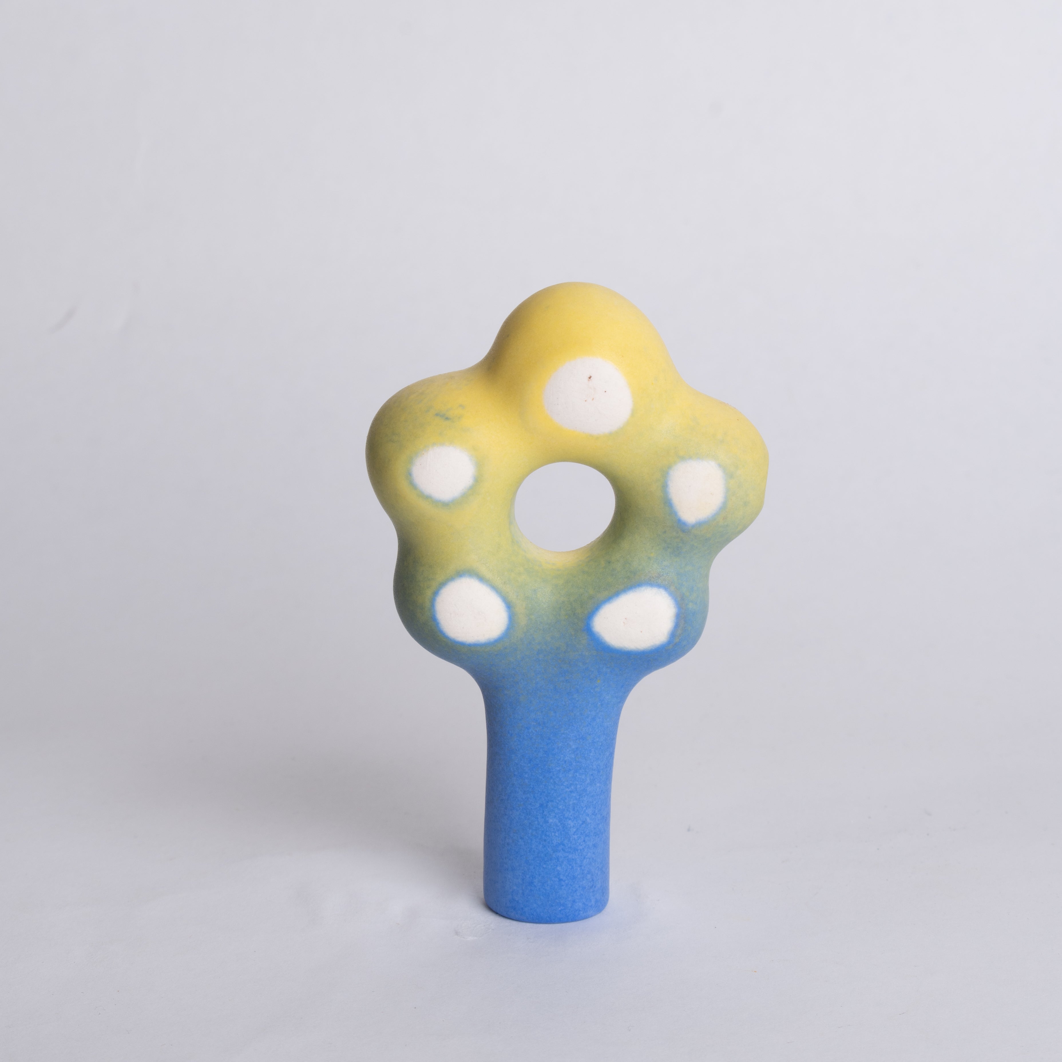 Cornflower Blue Daisy