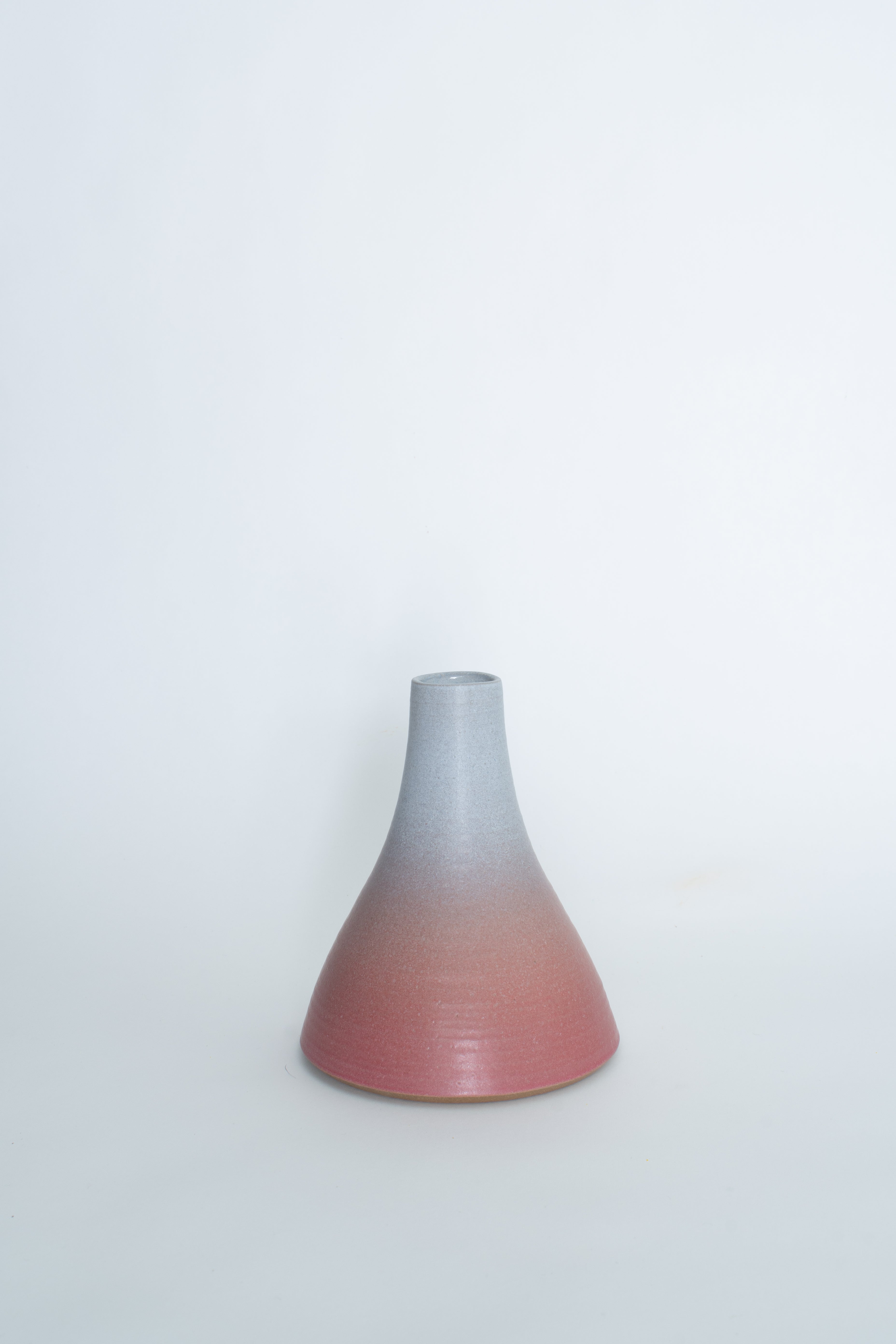 Flower Vessel in Pink Sky