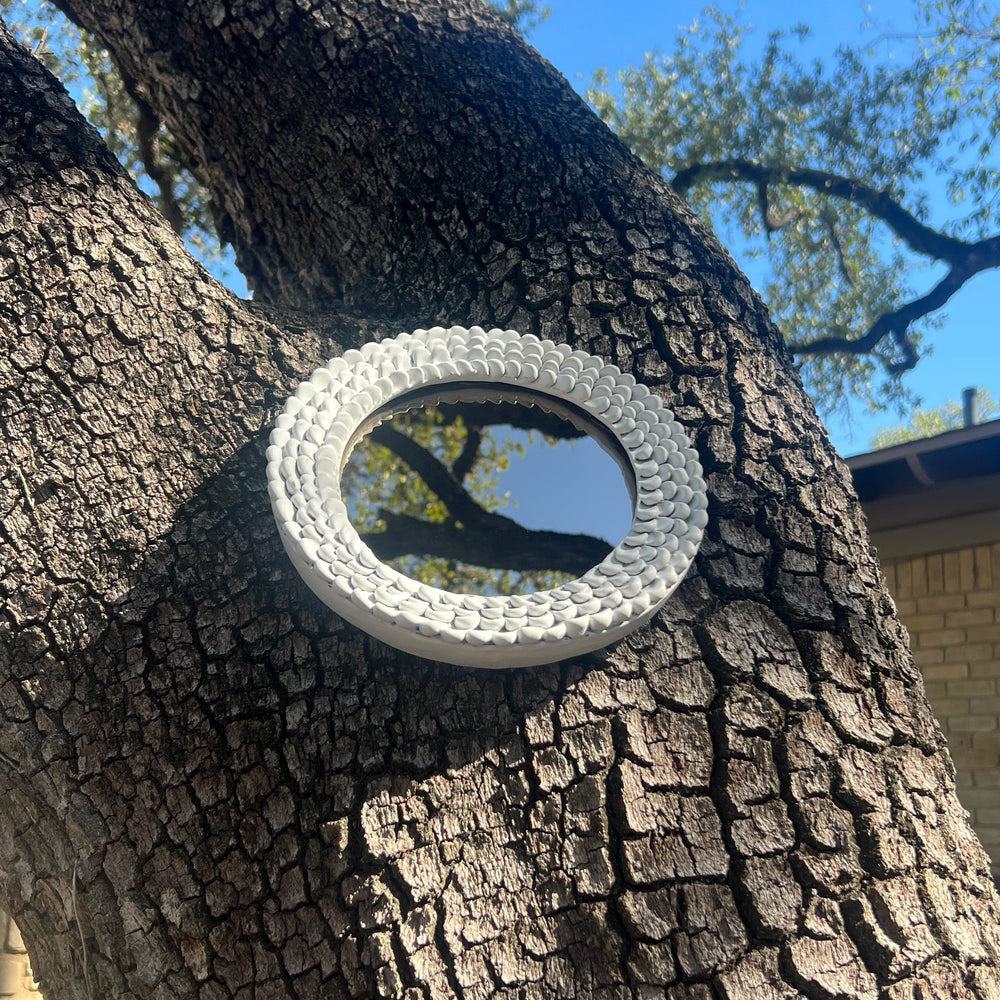 Decorative mirror attached to a tree trunk with a clear blue sky in the background